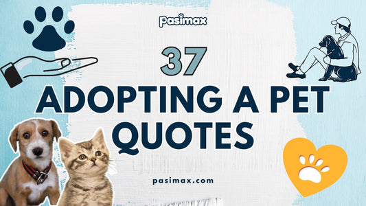37 Adopting a Pet Quotes: Heartfelt and Inspiring Sayings