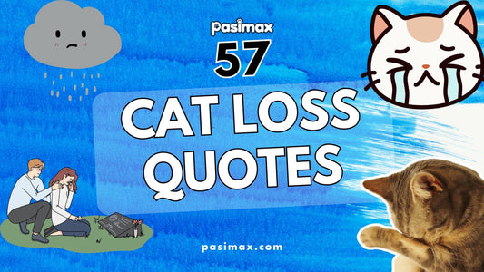 Cat Loss Quotes