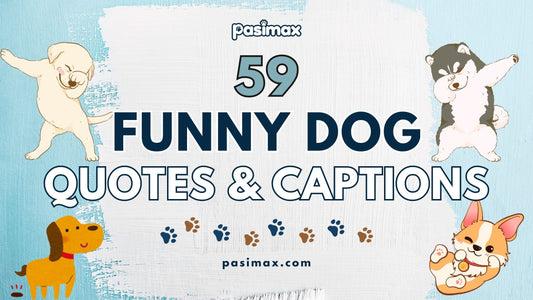 Funny Dog Quotes and Captions