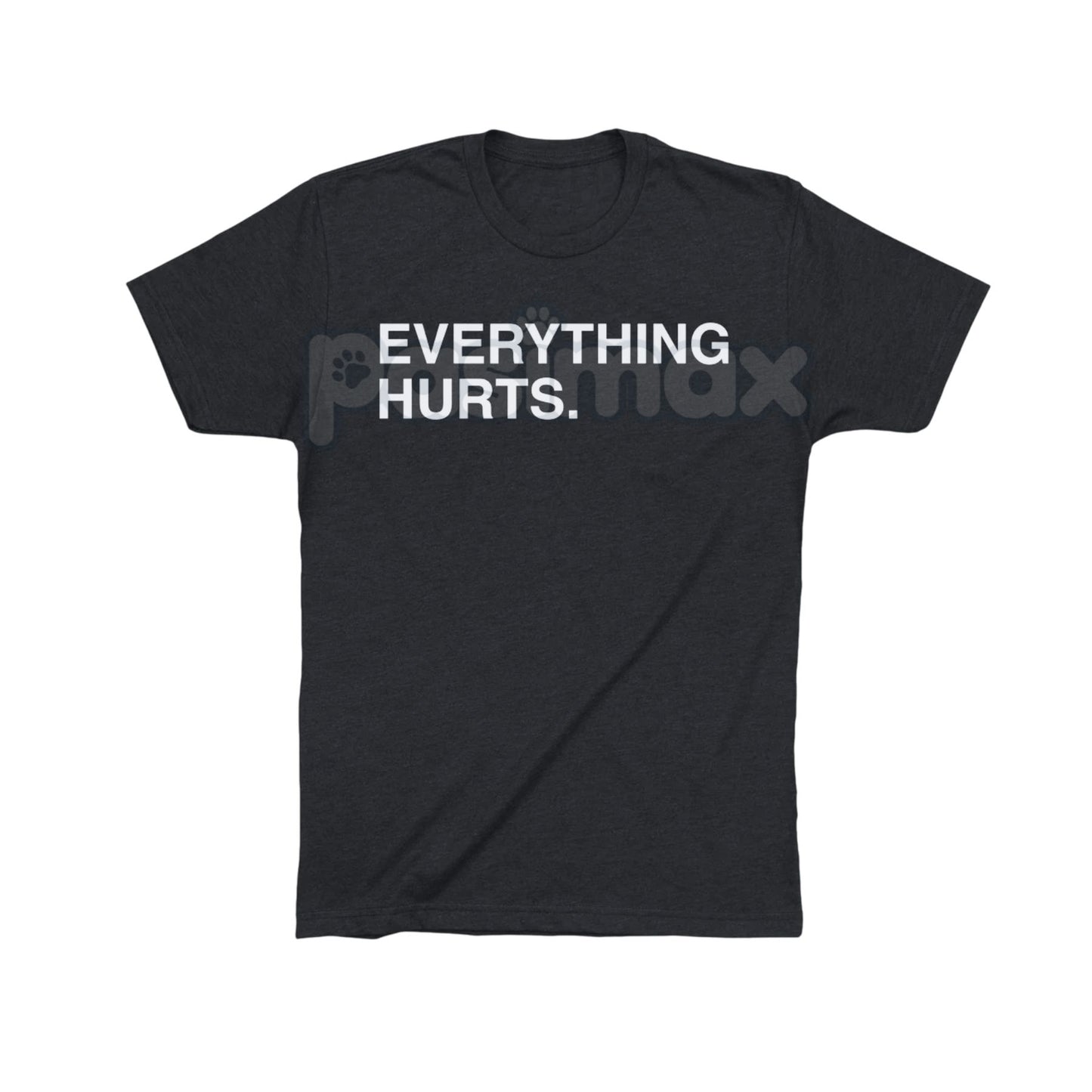 "EVERYTHING HURTS" Funny Graphic Tee - Workout & Chronic Pain Sarcastic Statement Shirt, Unisex Humor Apparel