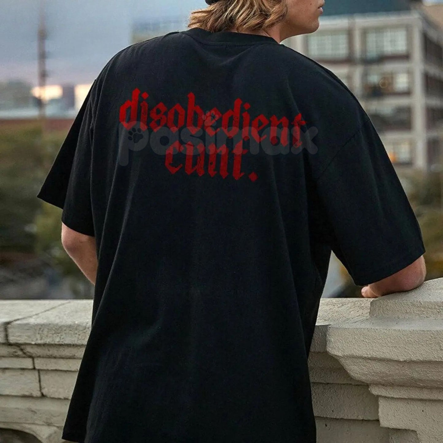 "Disobedient" Graphic T-Shirt - Rebel Streetwear Tee, Unisex Statement Shirt, Anti-Establishment Apparel