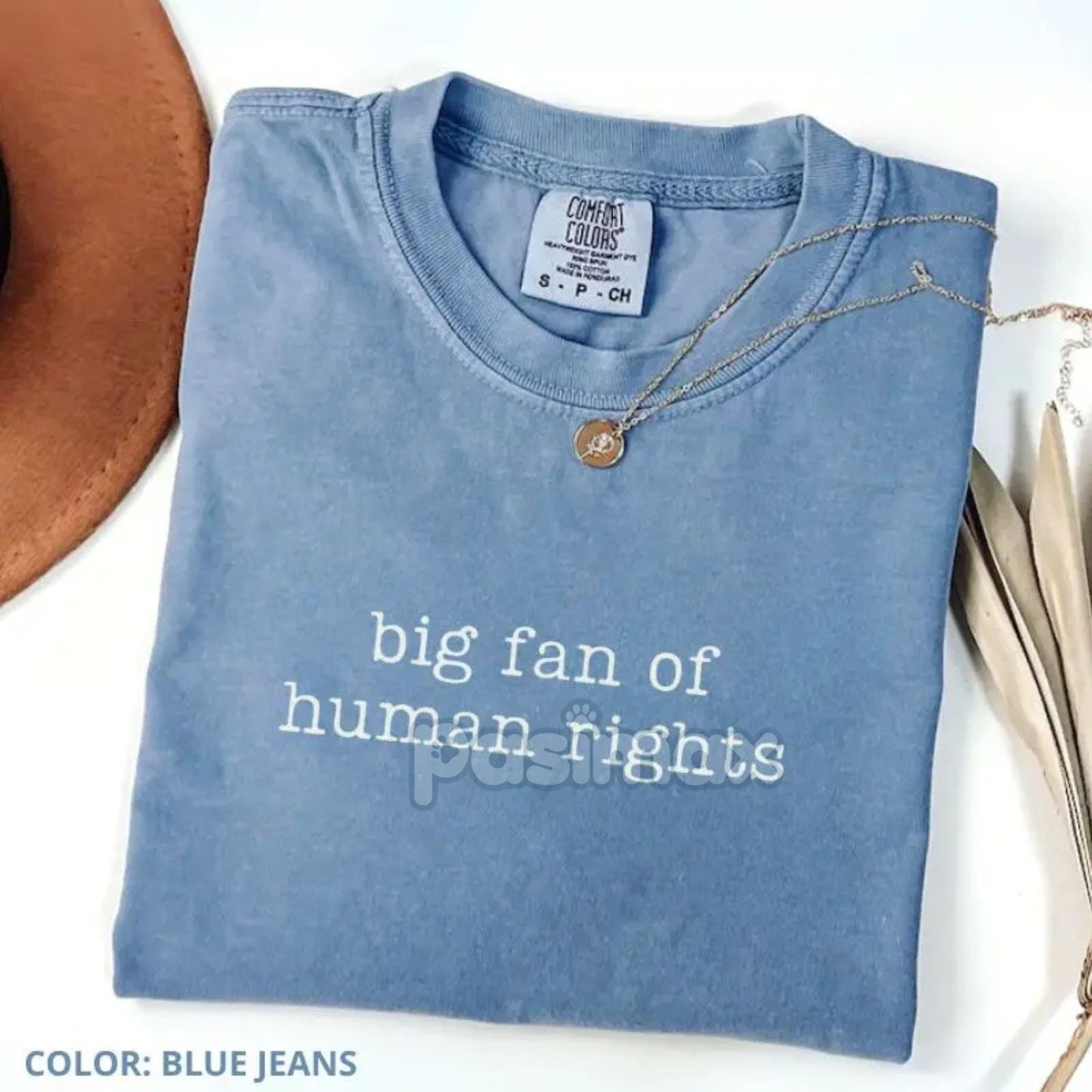 Comfort Colors® 'Big Fan of Human Rights' T-Shirt – Ironic Equality Statement Tee, Minimalist Social Justice Shirt, Essential Beliefs Top