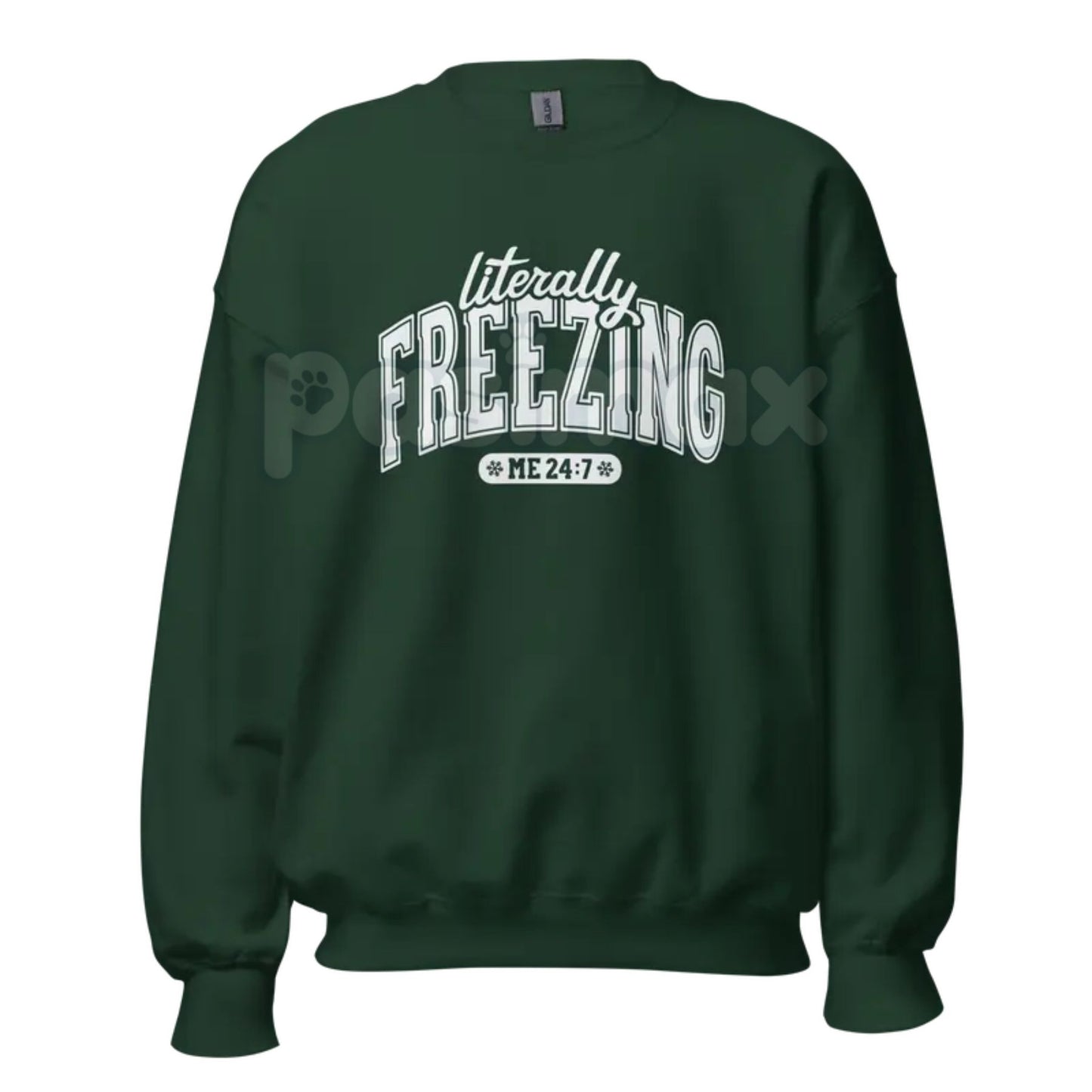 The Cold Truth: "Literally Freezing" Unisex Garment-Dyed Sweatshirt – Winter Cozy Wear