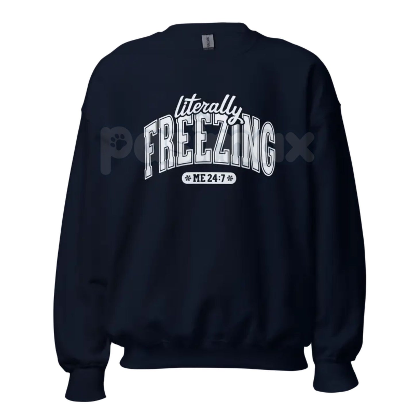 The Cold Truth: "Literally Freezing" Unisex Garment-Dyed Sweatshirt – Winter Cozy Wear