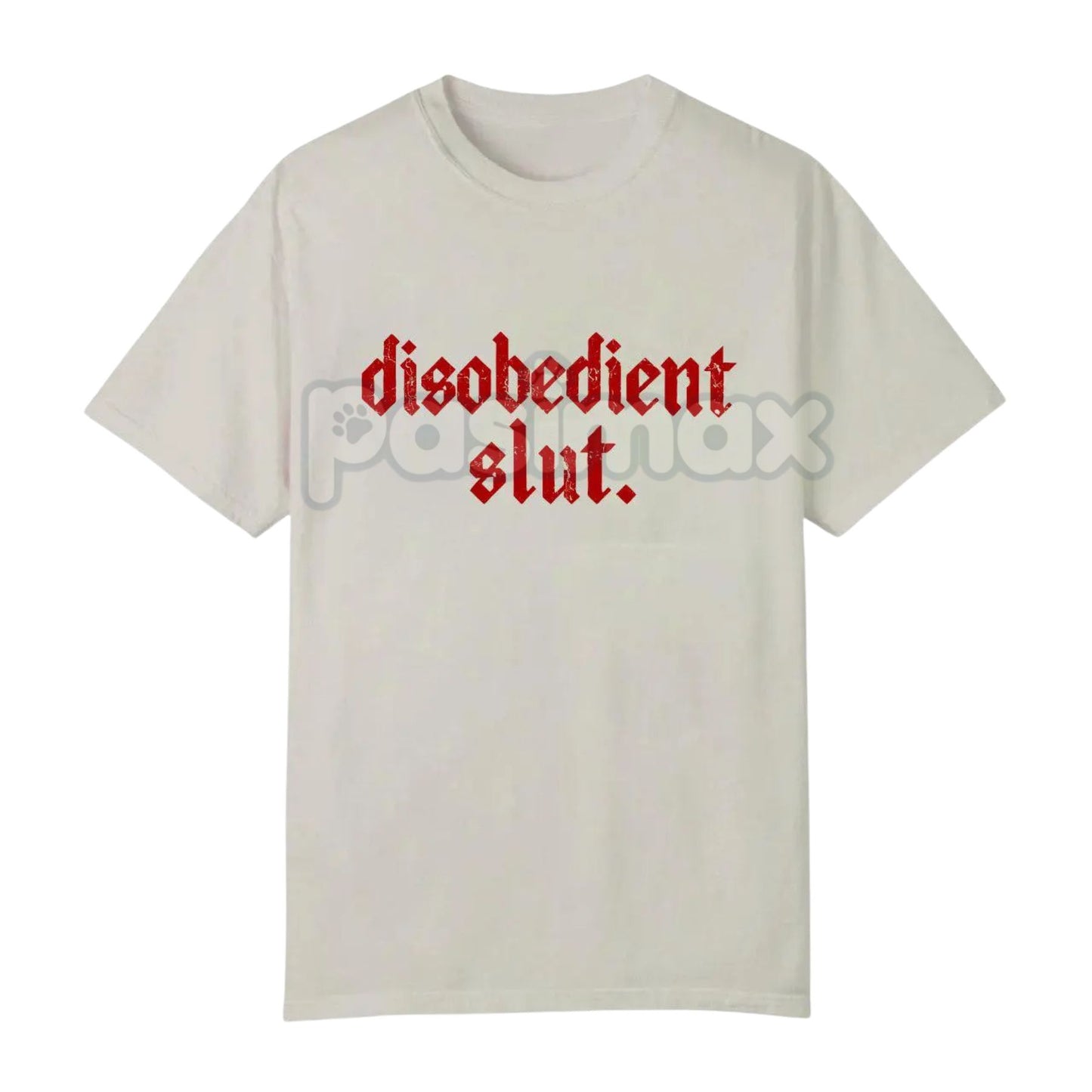 Rebellious Attitude Graphic Tee - Bold Gothic Letter Print Shirt, Unisex Edgy Aesthetic Apparel, Dark Aesthetic Streetwear