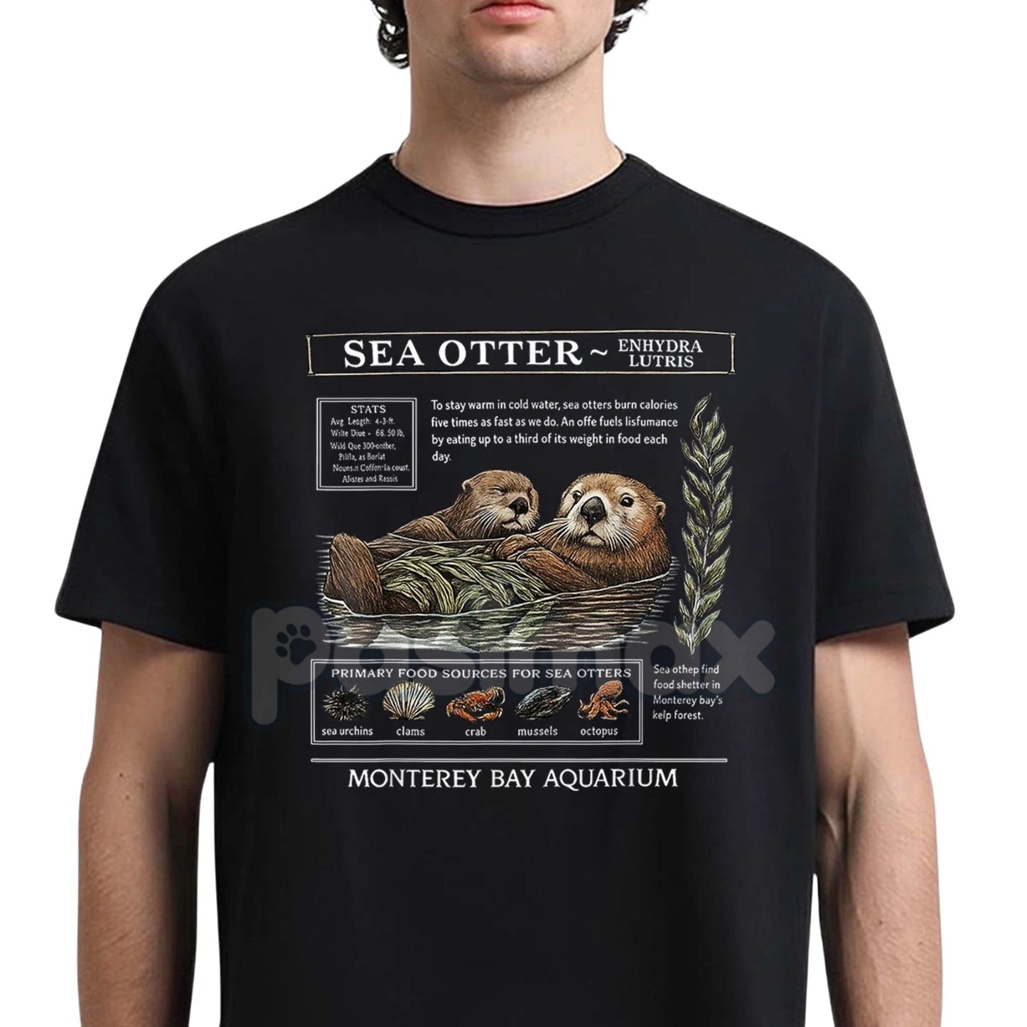 Sea Otter Monterey Bay Aquarium T-Shirt - Official Otter Lovers Tee, Souvenir Graphic Apparel