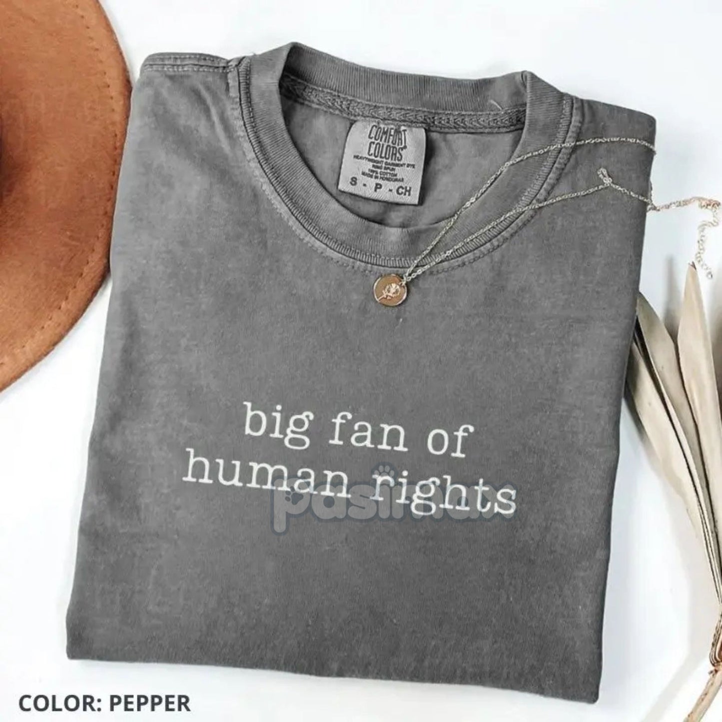 Comfort Colors® 'Big Fan of Human Rights' T-Shirt – Ironic Equality Statement Tee, Minimalist Social Justice Shirt, Essential Beliefs Top