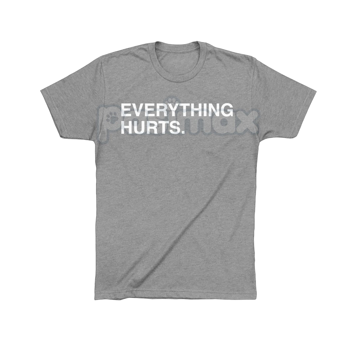"EVERYTHING HURTS" Funny Graphic Tee - Workout & Chronic Pain Sarcastic Statement Shirt, Unisex Humor Apparel-Pasimax