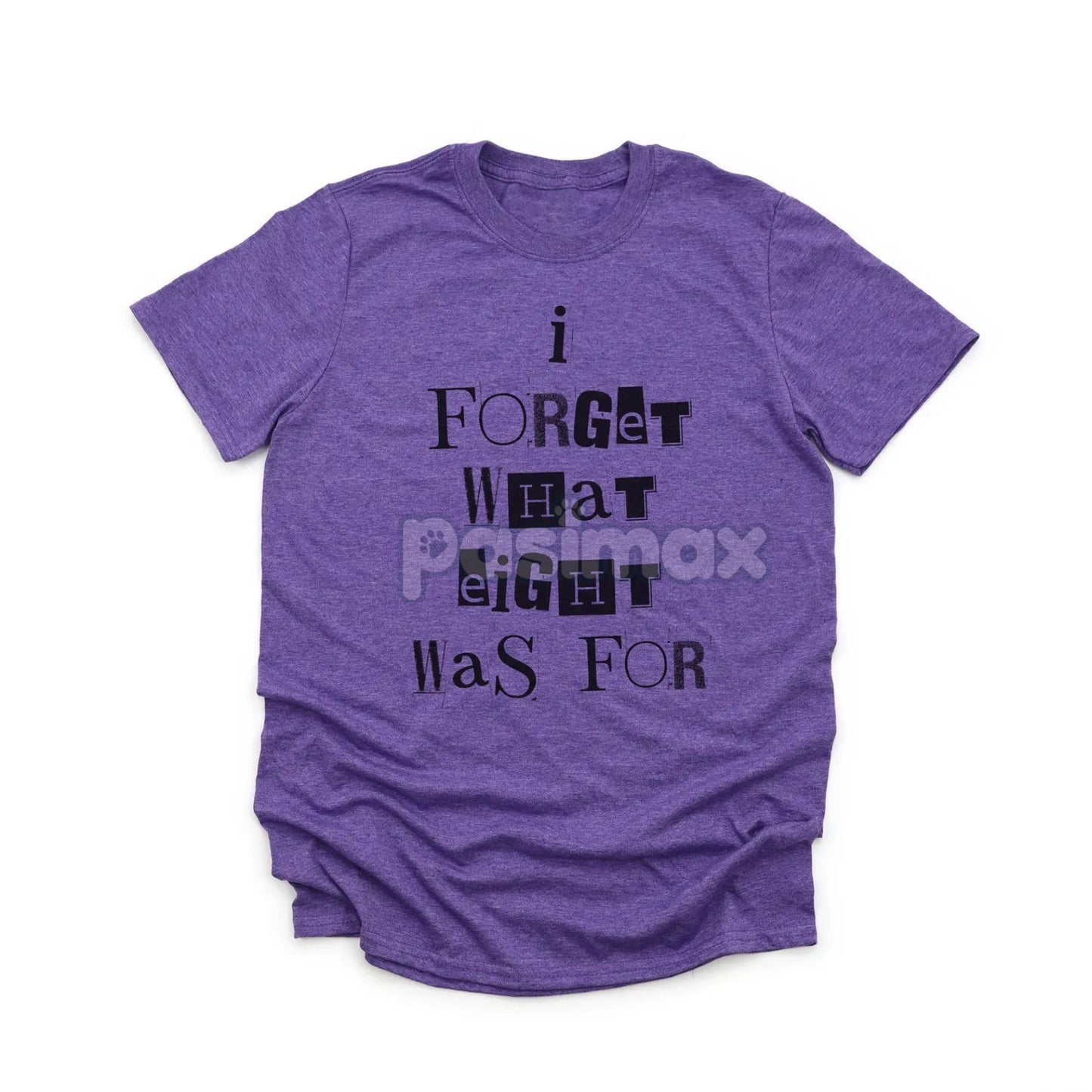 'I Forget What Eight Was For' Subversive T-Shirt – Violent Femmes Lyric Tee, Cult Classic Alternative Music Merch, Acoustic Punk Apparel-Pasimax