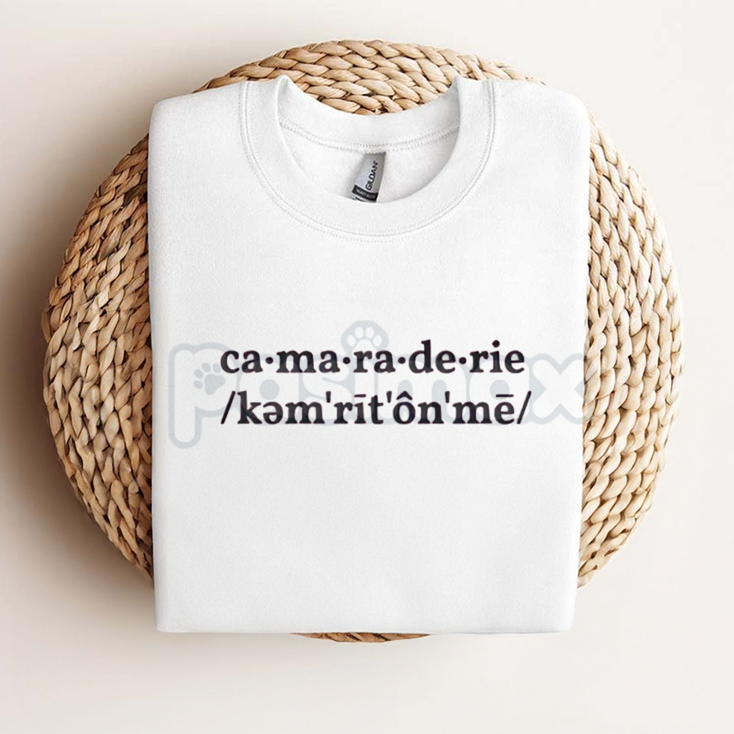 Sabrina Carpenter Camaraderie Embroidered Shirt – Unisex, Relaxed Fit Tee for Concert & Fan Apparel-Pasimax