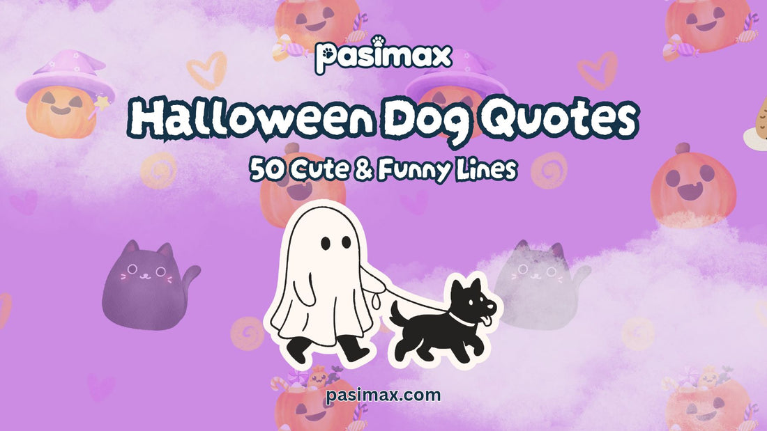 Cute dog wearing a Halloween costume beside pumpkins and autumn decorations