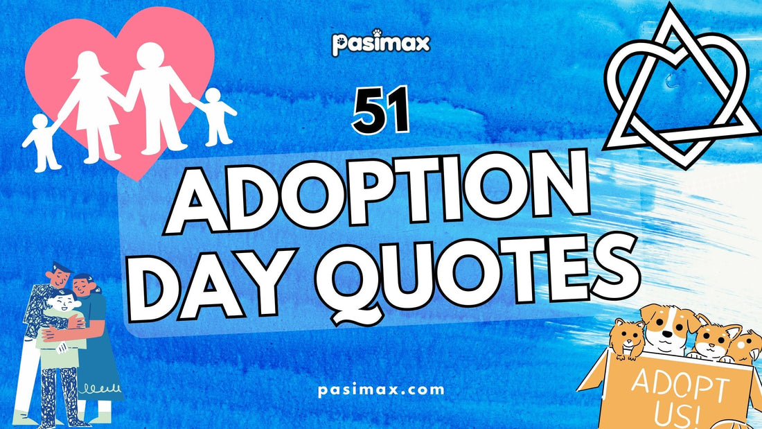 51 Adoption Day Quotes: Celebrating Forever Families