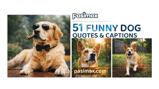 🐶 51 Funny Dog Quotes That Perfectly Describe Your Chaotic Life