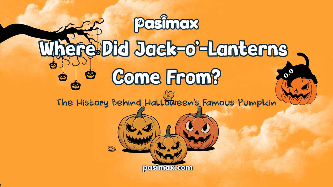 Jack-o'-lantern pumpkin representing the history of Halloween pumpkin carving