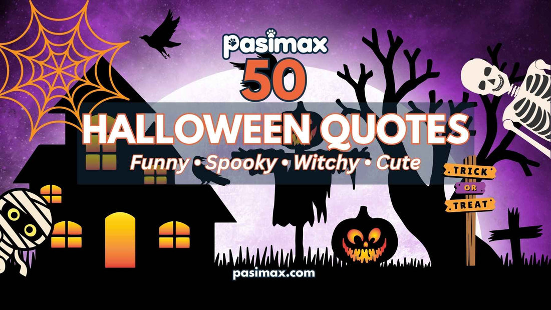 50 Halloween Quotes 2026 for spooky season
