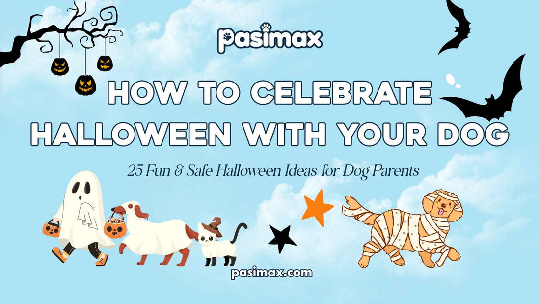 How to Celebrate Halloween With Your Dog with a cute dog in a Halloween costume