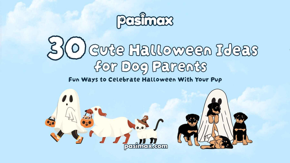 Cute Halloween ideas for dog parents with a dressed-up dog