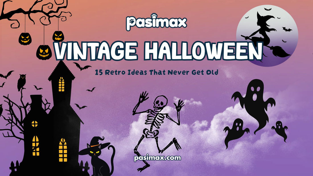 Vintage Halloween ideas featuring retro black cats, pumpkins, witches, and nostalgic Halloween artwork.