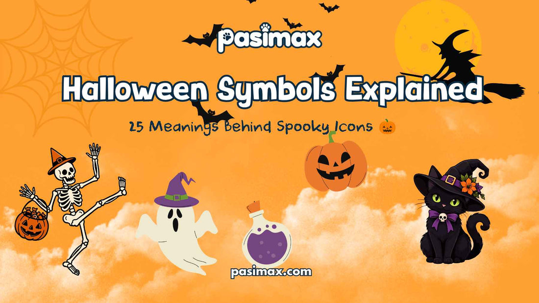 Halloween symbols including pumpkins ghosts bats and black cats