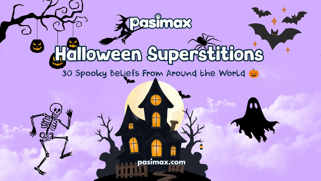 Halloween superstitions with black cat pumpkin witch and spooky symbols