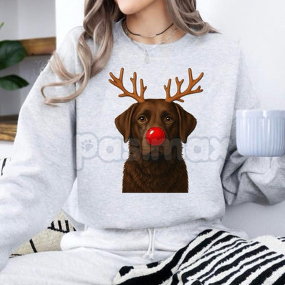 Christmas Reindeer Dog Sweatshirt – Festive Pet Graphic Holiday Apparel