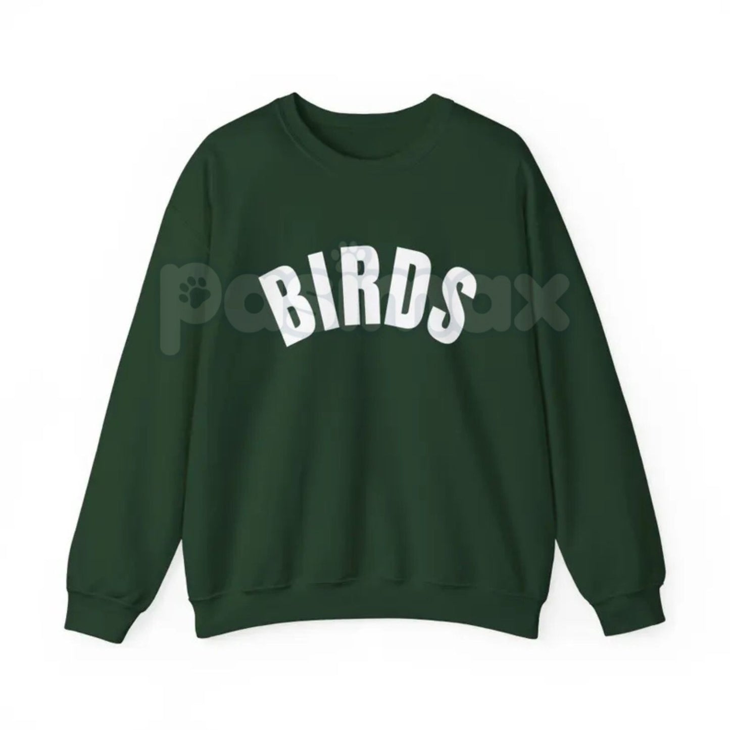 BIRDS Sweatshirt | Minimalist Ornithology Nature Jumper | Bird Watcher Wildlife Crewneck | Nature Lover Gift