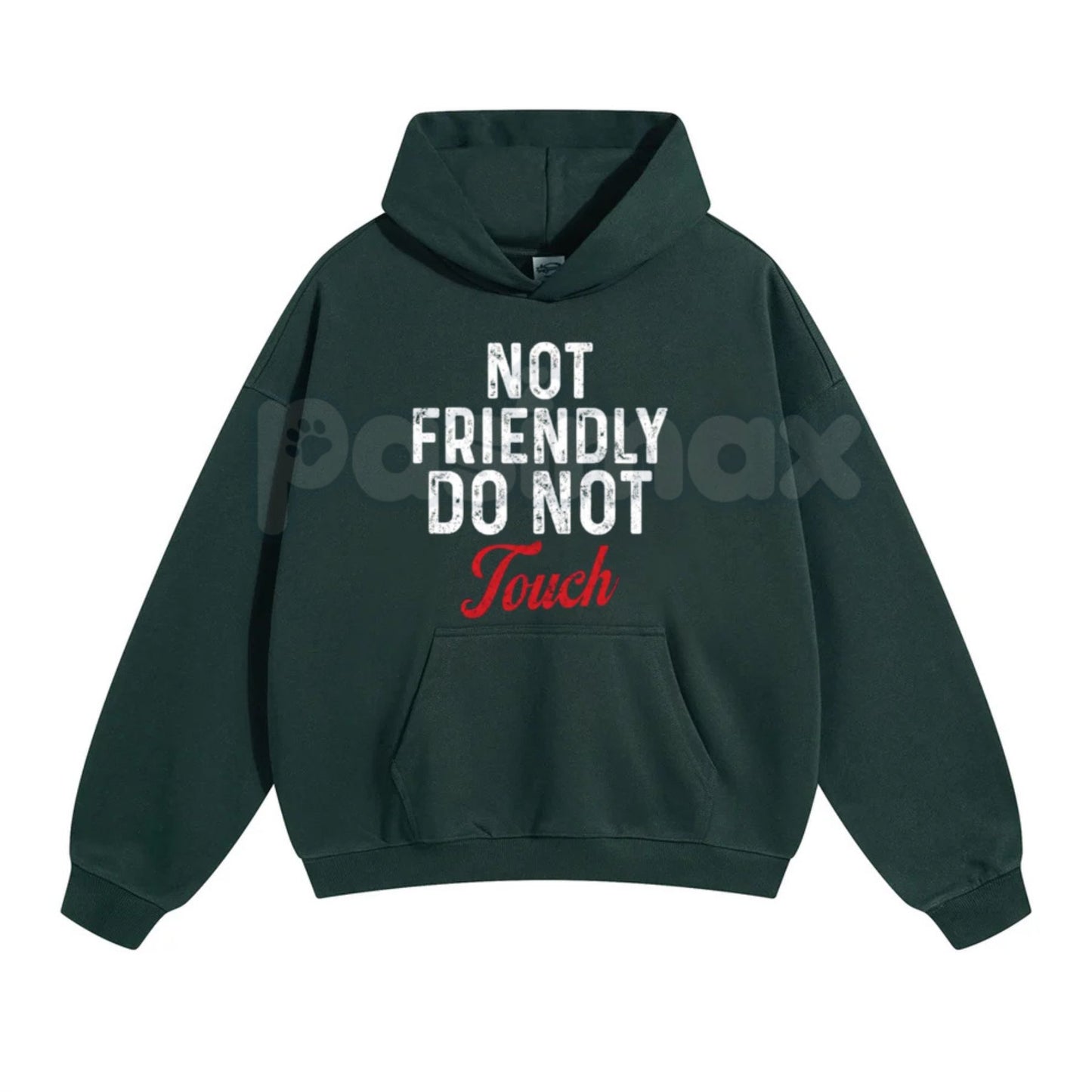 "Not Friendly Do Not Touch" Humorous Black Hoodie – Sarcastic Introvert Pullover, Funny Antisocial Statement Gear, Unisex