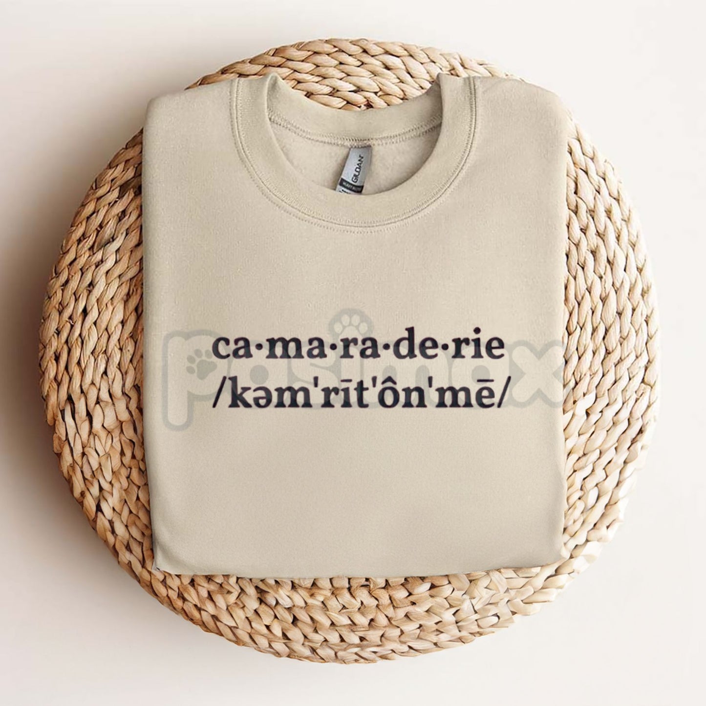 Sabrina Carpenter Camaraderie Embroidered Shirt – Unisex, Relaxed Fit Tee for Concert & Fan Apparel