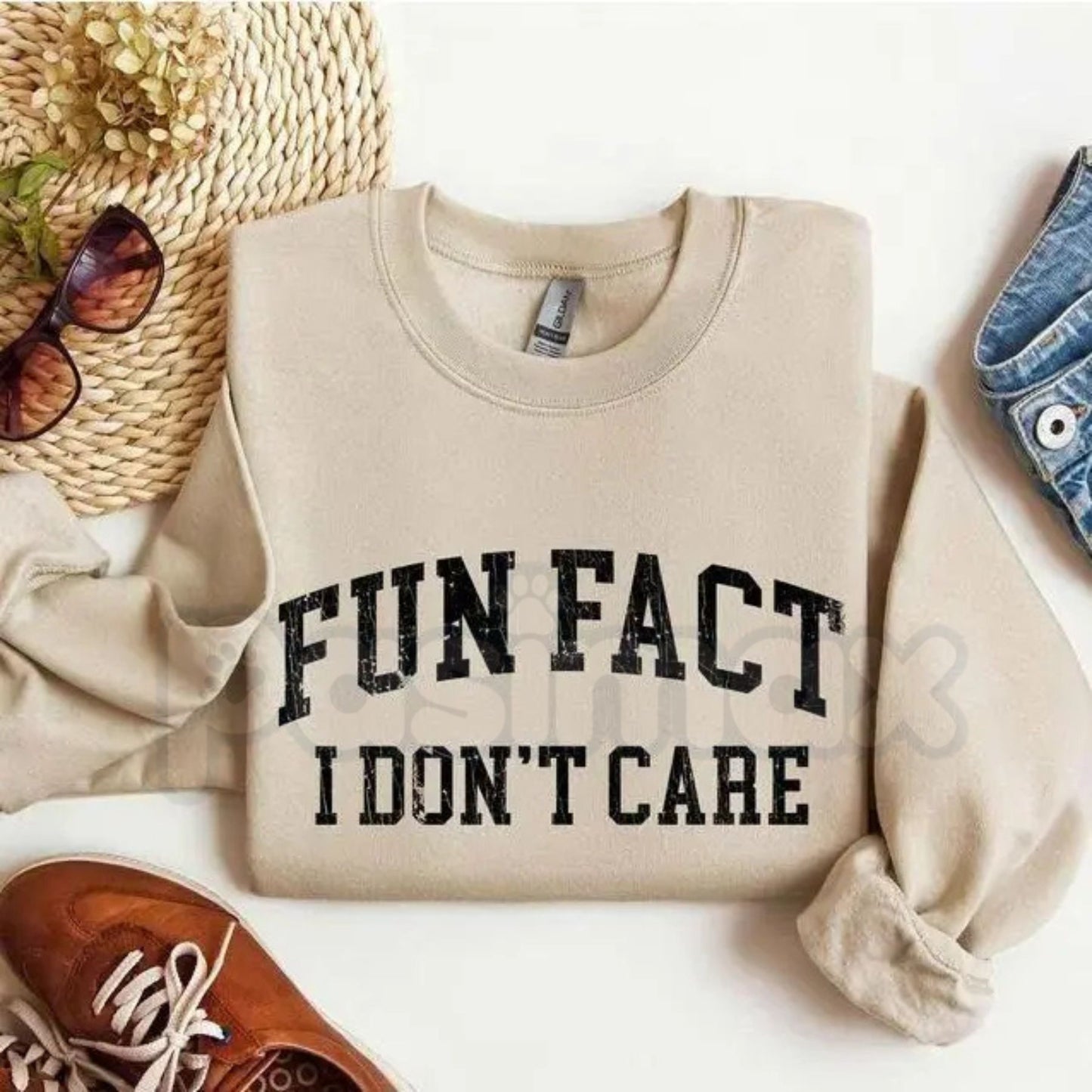 Fun Fact I Don't Care Sweatshirt | Sarcastic College Sweatshirt | Funny Academic Burnout Crewneck | Relatable Student Jumper | Minimalist Sassy Pullover | University Style Sarcasm Shirt