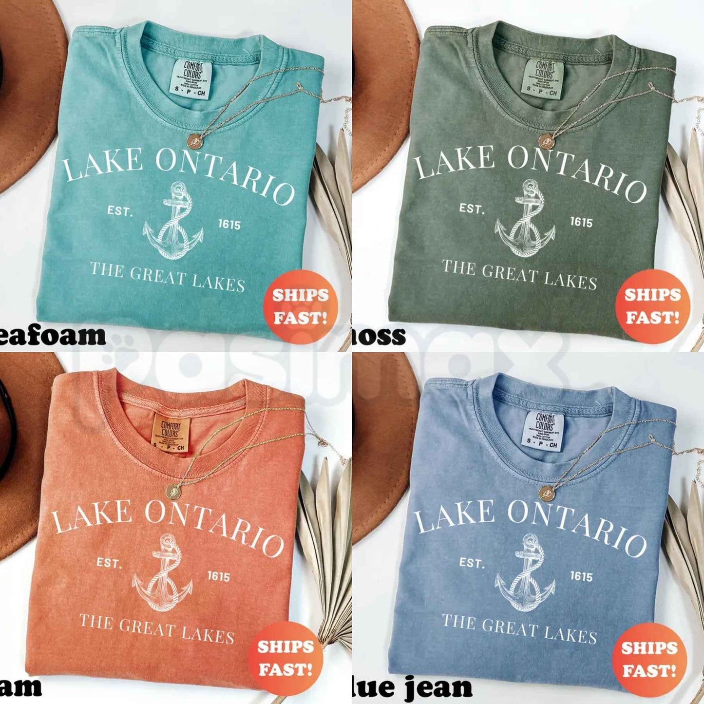 Comfort Colors® Lake Ontario EST 1615 Vintage T-Shirt – Retro Great Lakes Adventure Travel Graphic Tee, Trendy Exploration Unisex Top