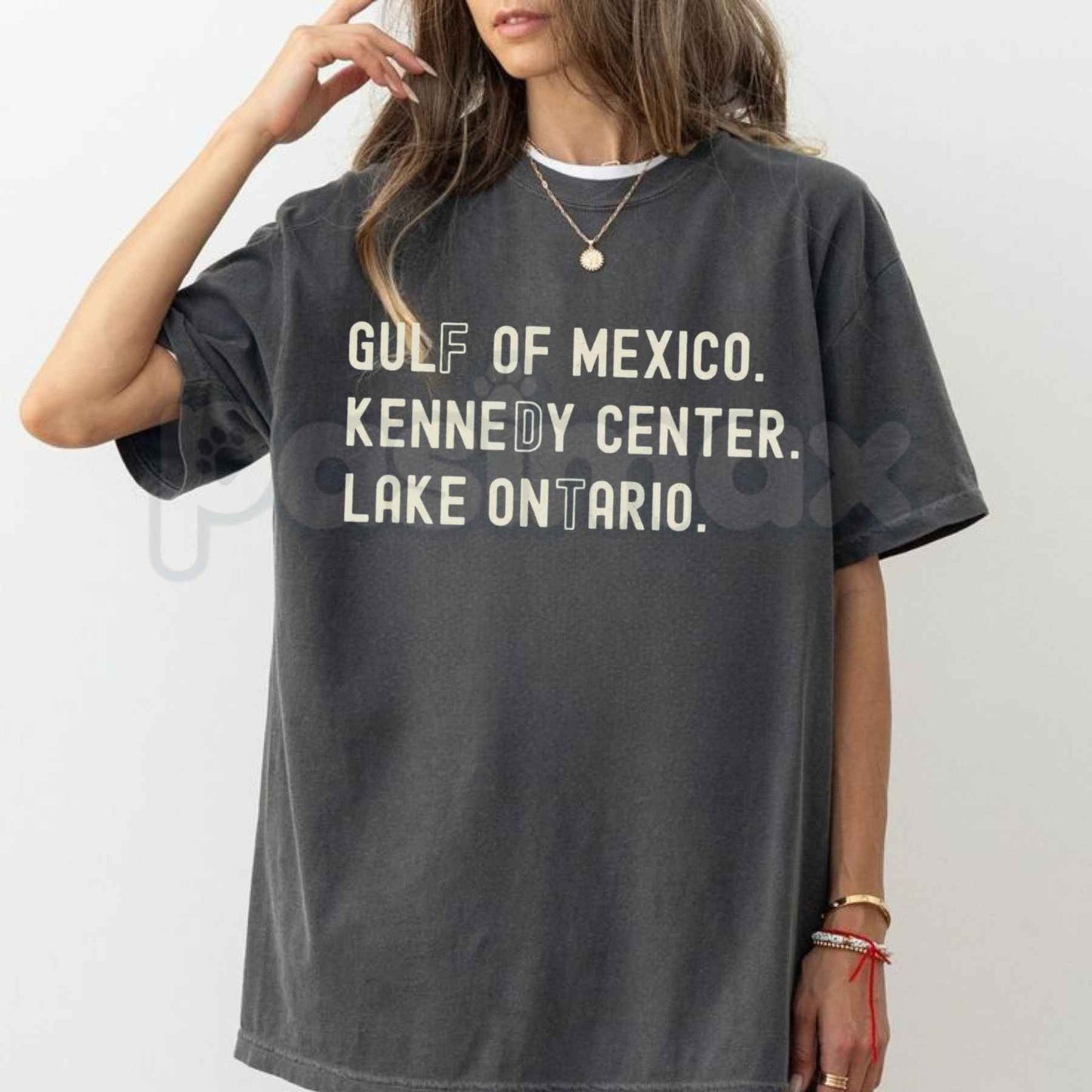 Comfort Colors® Lake Ontario Kennedy Center T-Shirt – Subtle Funny FDT Protest Graphic Tee, Pro-Democracy Activism Unisex Top
