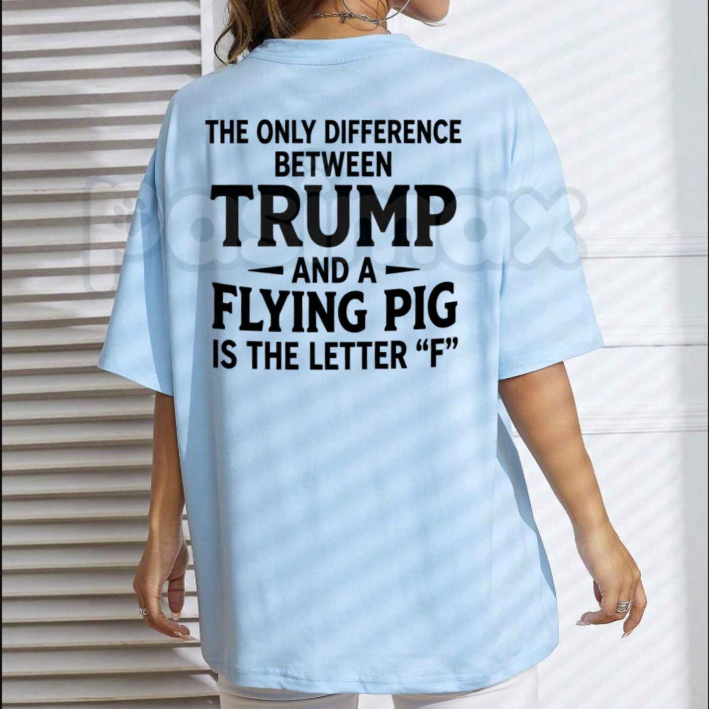 Difference Between Trump And A Flying Pig T-Shirt – Funny Political Humor Unisex Graphic Tee