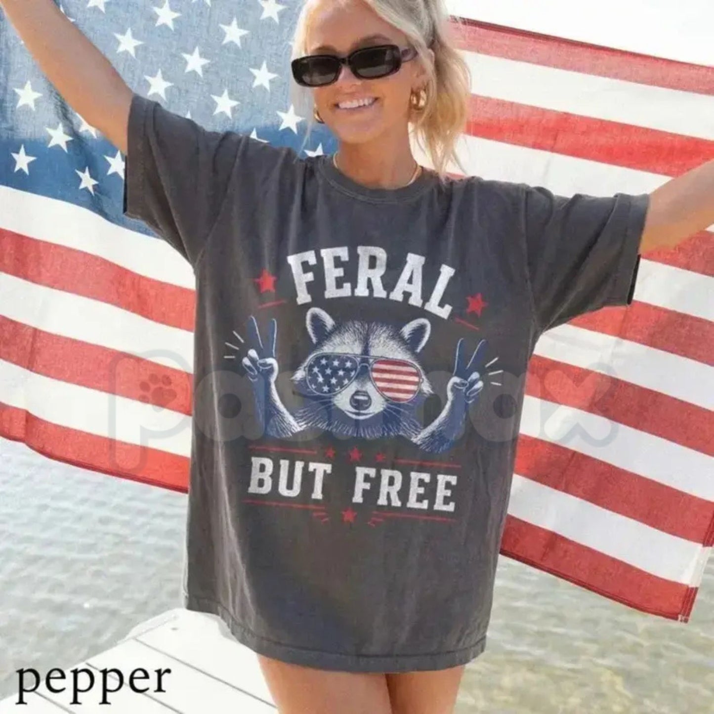 Comfort Colors® USA 250th Birthday Patriotic Freedom Raccoon T-Shirt – Vintage Independence Day Tee, Aesthetic Retro 1776 Semiquincentennial Graphic Top