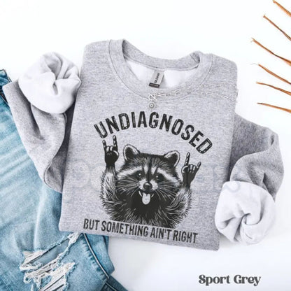 Undiagnosed But Something Ain't Right Raccoon Sweatshirt | Funny Neurospicy Trash Panda Crewneck | Sarcastic Raccoon Humor Jumper | Mental Health Awareness Satire Pullover | Aesthetic Chaotic Raccoon Graphic Top | Relatable Adult Humor Shirt