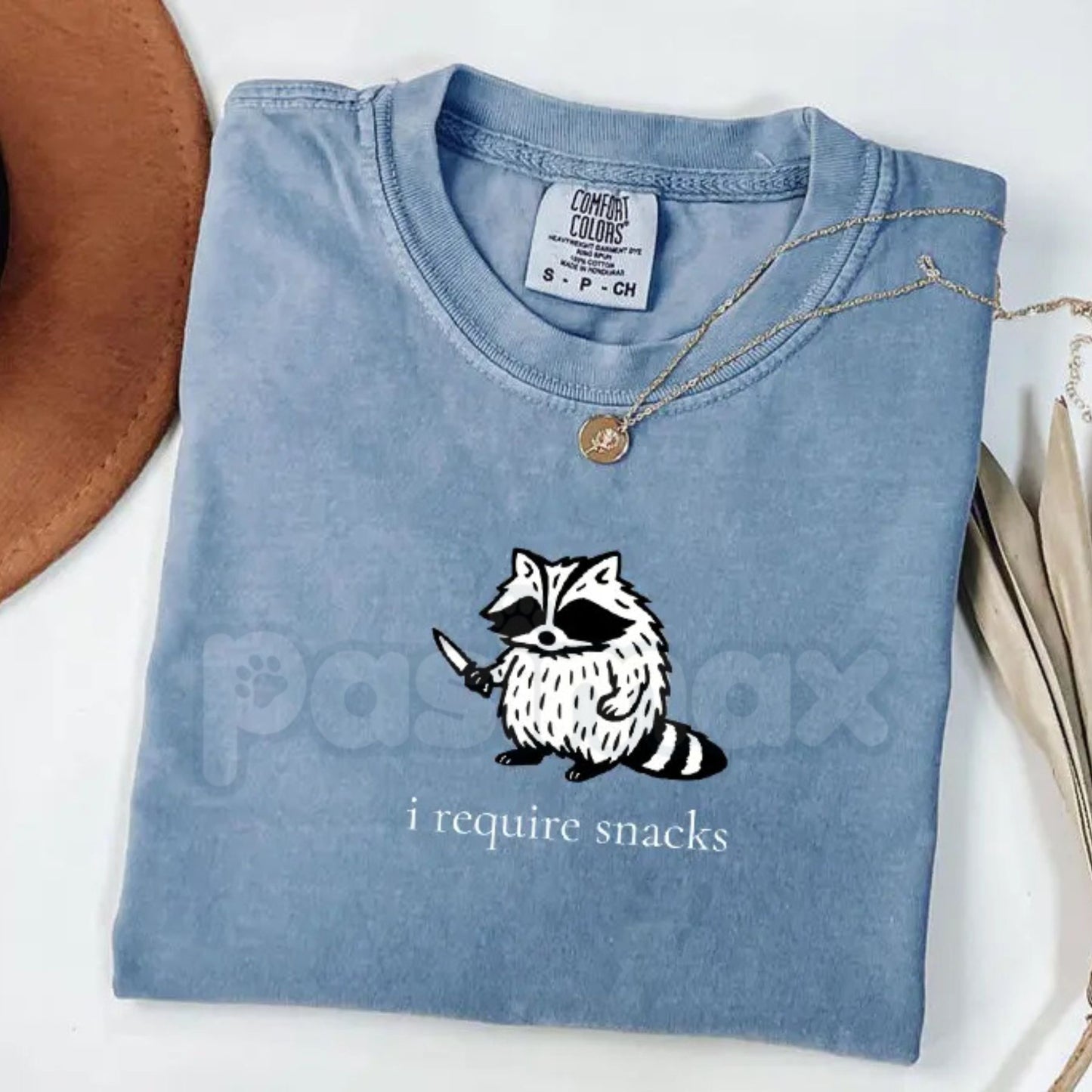 Comfort Colors® 'I Require Snacks' Raccoon T-Shirt – Funny Trash Panda Tee, Relatable Snack Lover Shirt, Vintage Animal Graphic Apparel