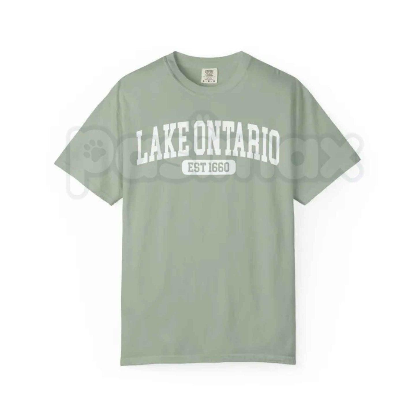 Comfort Colors® Lake Ontario Est. 1660 T-Shirt – Funny Canada Political Satire Graphic Tee, Great Lakes Border Humor Unisex Top