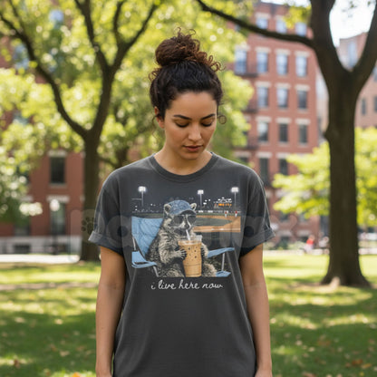 Comfort Colors® Funny Raccoon Ballfield T-Shirt – Retro Trash Panda Baseball Tee, Sarcastic Softball Graphic Shirt, Aesthetic Sports Humour Gift
