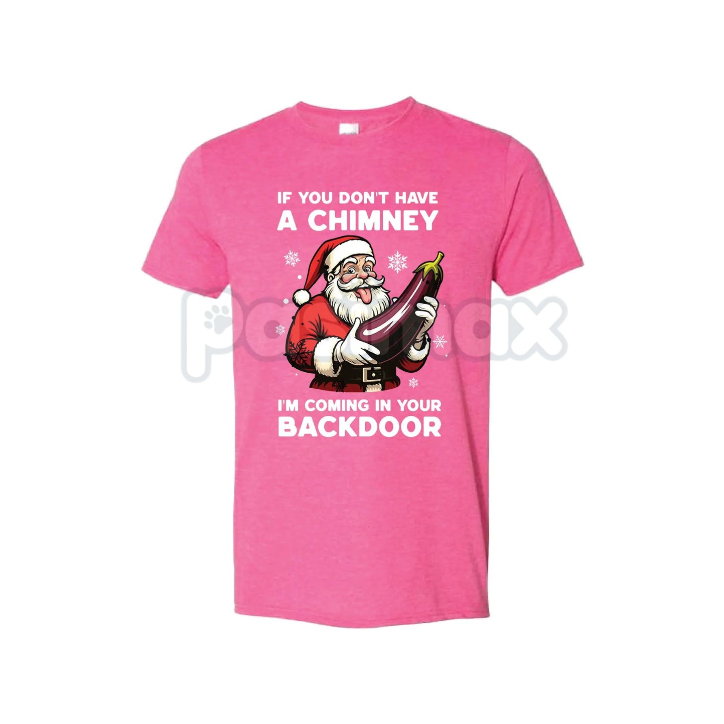 Backdoor Santa Christmas Joke T-Shirt - Funny Naughty Holiday Slogan Tee, Retro R&B Music Gift, Soft & Comfortable Xmas Top