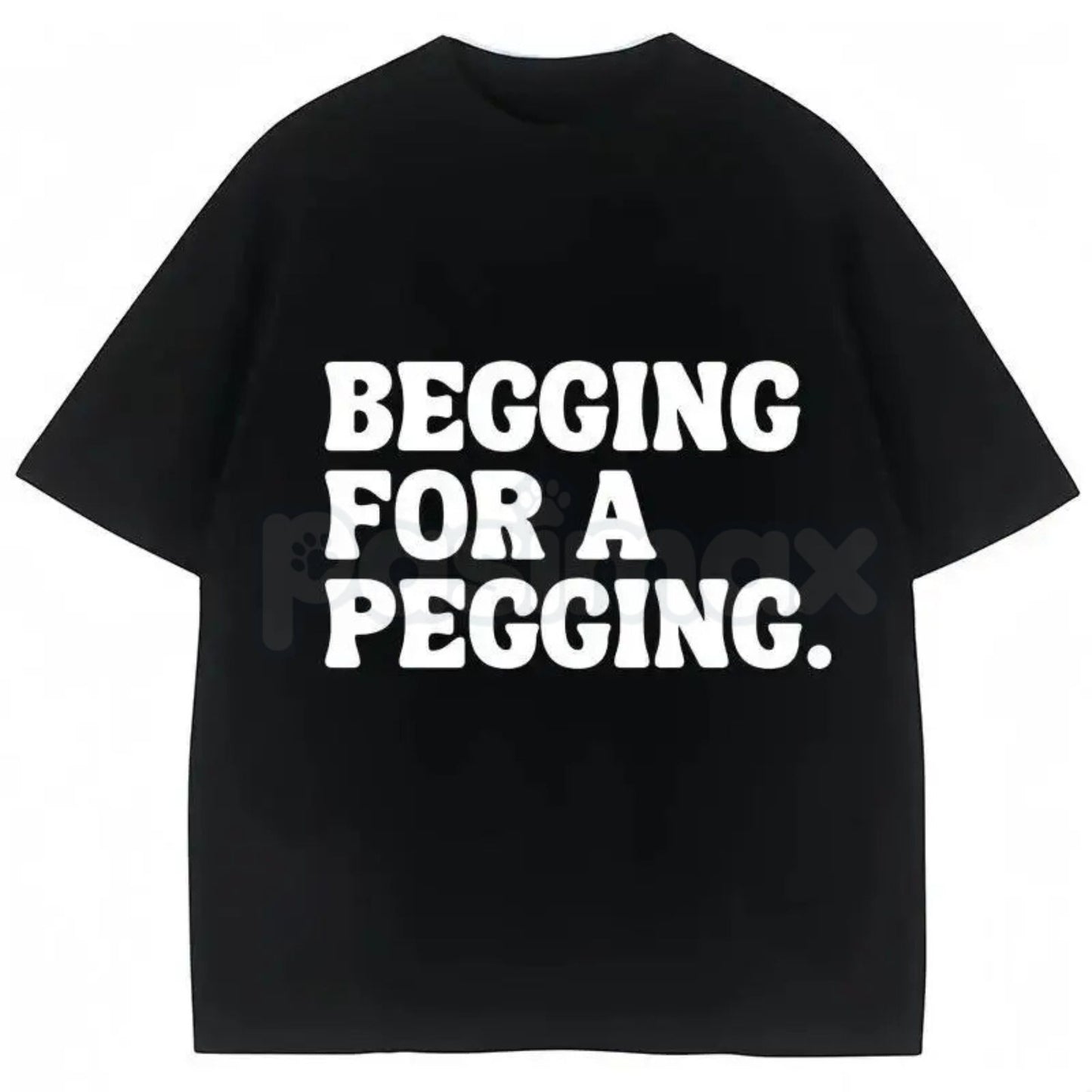 "Begging for A Pegging" Funny Letter Print T-Shirt – Adult Humor Graphic Tee, Unisex Sweatshirt & Hoodie