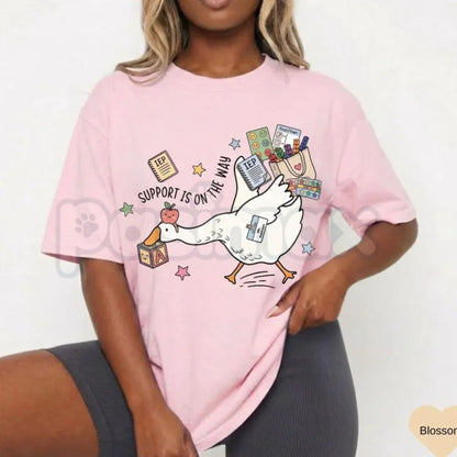 Comfort Colors® Silly Goose Special Education Teacher T-Shirt – Funny SPED Teacher Gift, Aesthetic Inclusive Classroom Tee, Sarcastic Educator Shirt
