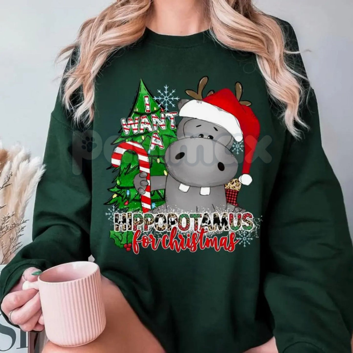 I Want a Hippopotamus for Christmas Sweatshirt | Cute Nostalgic Holiday Song Jumper | Funny Hippo Xmas Crewneck Gift