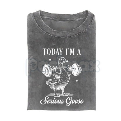 Today I'm a Serious Goose Funny T-Shirt – Men’s Vintage Washed Graphic Tee, Lightweight Sarcastic Animal Streetwear Top