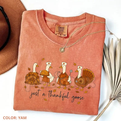 Comfort Colors® 'Thanksgiving Nurse - Goose Is Loose' T-Shirt – Funny Holiday RN Apparel, Whimsical Comfort Tee