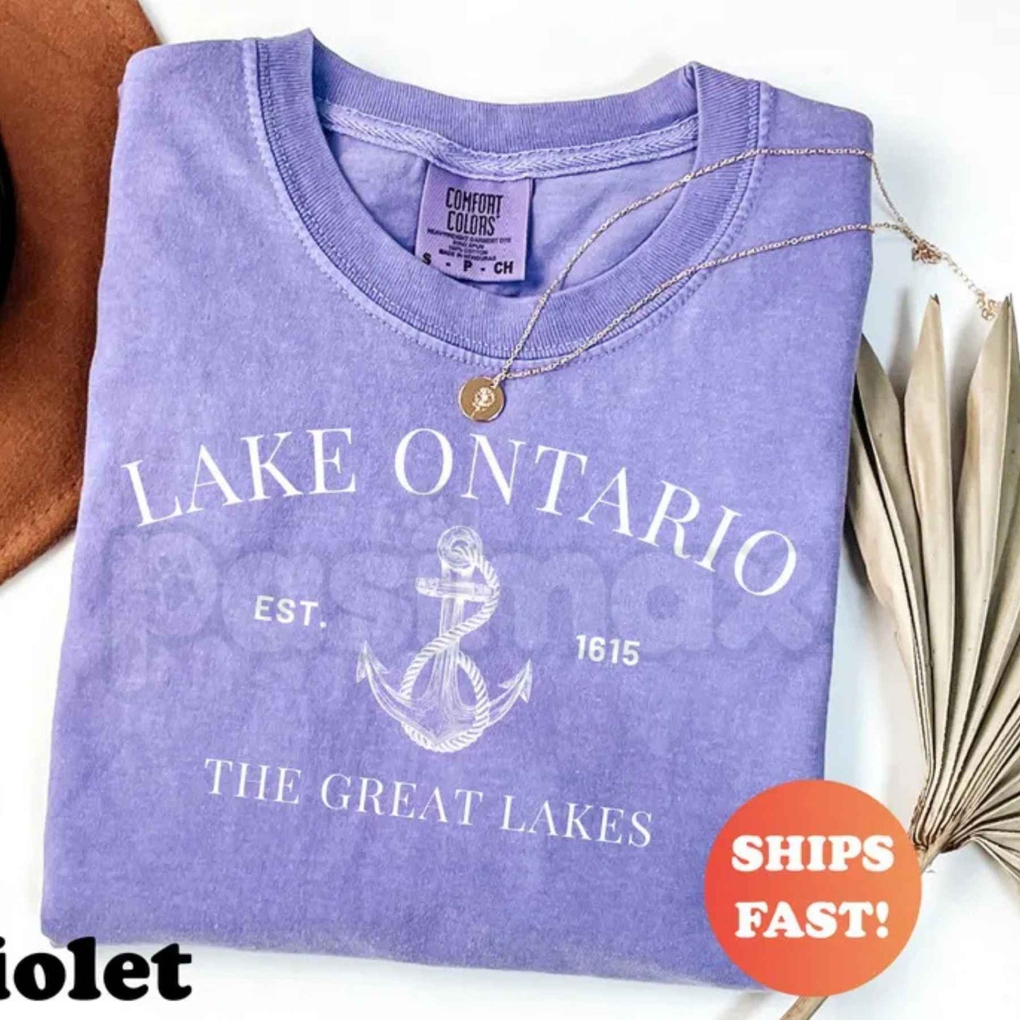 Comfort Colors® Lake Ontario EST 1615 Vintage T-Shirt – Retro Great Lakes Adventure Travel Graphic Tee, Trendy Exploration Unisex Top