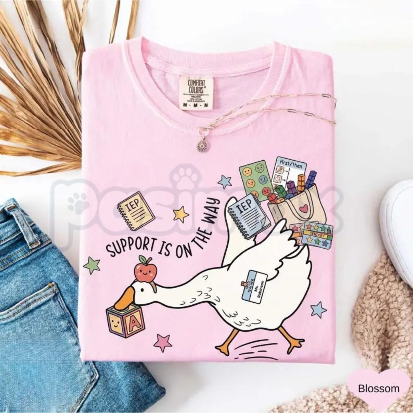 Comfort Colors® Silly Goose Special Education Teacher T-Shirt – Funny SPED Teacher Gift, Aesthetic Inclusive Classroom Tee, Sarcastic Educator Shirt