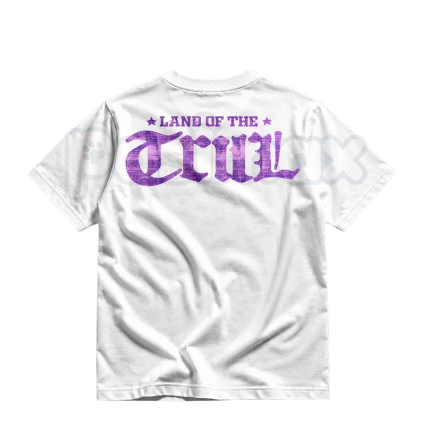 Pimp C Heavy Cotton Unisex Graphic T-Shirt – Vintage 90s Hip Hop Rap Tee, Retro Texas Underground Legend Tribute Streetwear Shirt