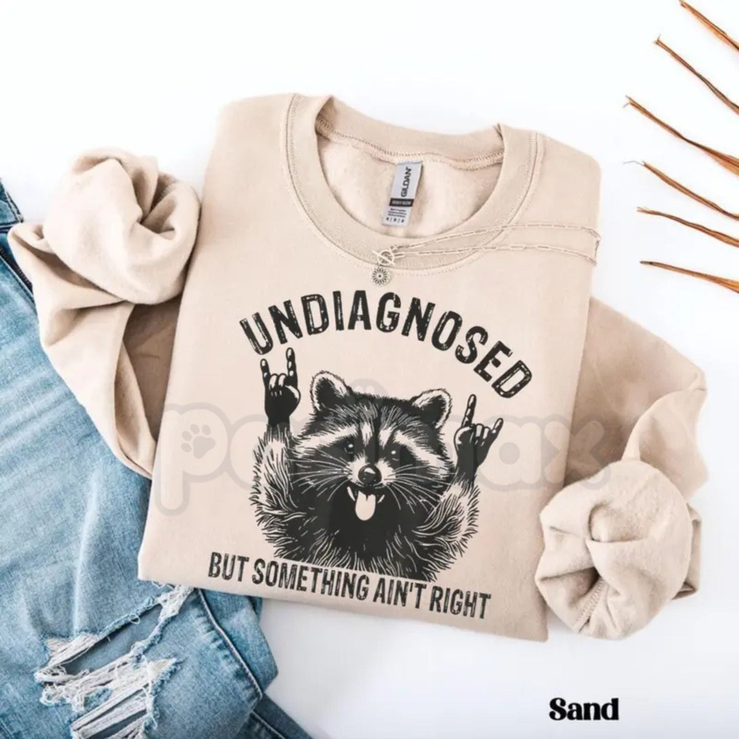 Undiagnosed But Something Ain't Right Raccoon Sweatshirt | Funny Neurospicy Trash Panda Crewneck | Sarcastic Raccoon Humor Jumper | Mental Health Awareness Satire Pullover | Aesthetic Chaotic Raccoon Graphic Top | Relatable Adult Humor Shirt