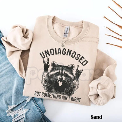 Undiagnosed But Something Ain't Right Raccoon Sweatshirt | Funny Neurospicy Trash Panda Crewneck | Sarcastic Raccoon Humor Jumper | Mental Health Awareness Satire Pullover | Aesthetic Chaotic Raccoon Graphic Top | Relatable Adult Humor Shirt