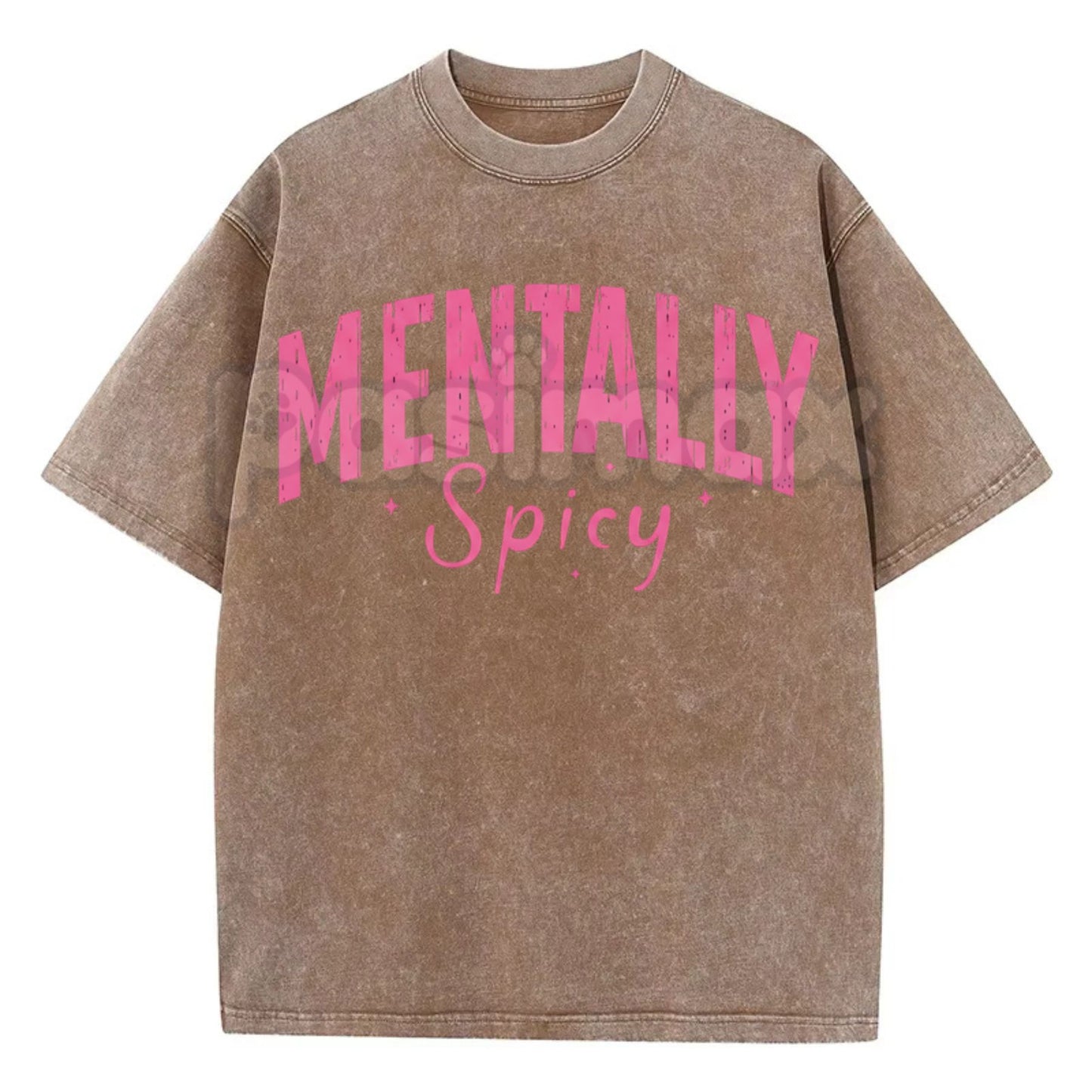 Mentally Spicy Washed T-Shirt – Funny Sarcastic Quote Tee, Vintage Oversized Graphic Shirt