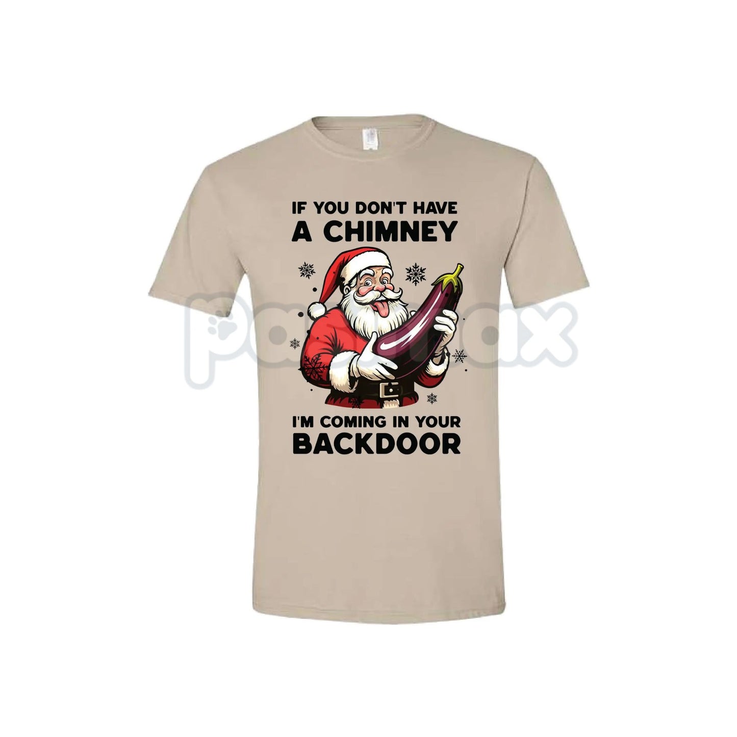 Backdoor Santa Christmas Joke T-Shirt - Funny Naughty Holiday Slogan Tee, Retro R&B Music Gift, Soft & Comfortable Xmas Top